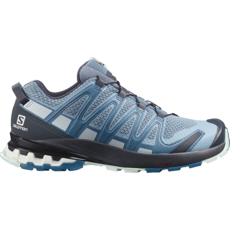 Tenis Para Trail Running Salomon Xa Pro 3d V8 Mujer Azules | MX CJYI729